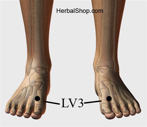 liv3 acupuncture point benefits